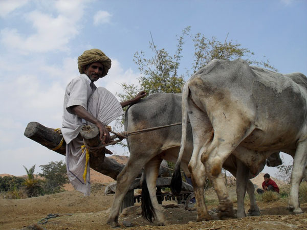 Rajasthan