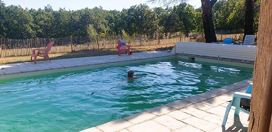 home shanti home, piscine