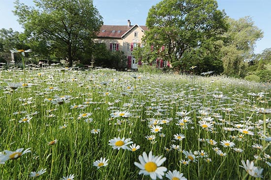 LE DOMAINE DE ROCHE SUR LINOTTE