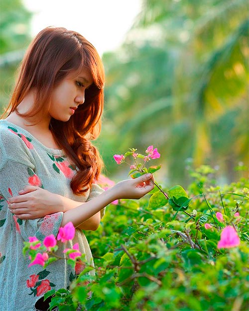 contemplation printemps fleurs